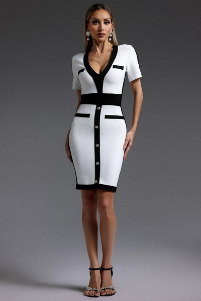 Tanya Short Sleeve V-Neck Mini Dress